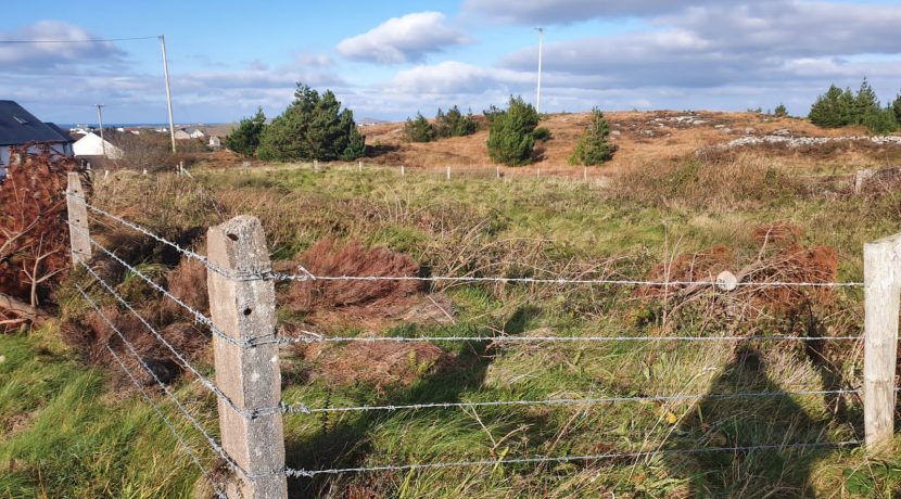 Ranafast Site Photo 5 - 12th Nov. 2020