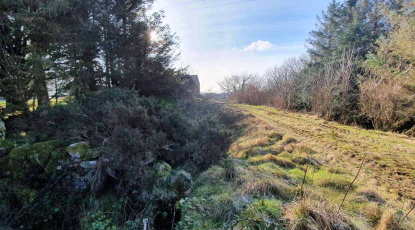 Sean Mc Bride - view of land 1.
