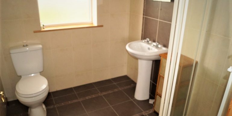 Duncan Glassagh downstairs bathroom daft (2)adj (1)