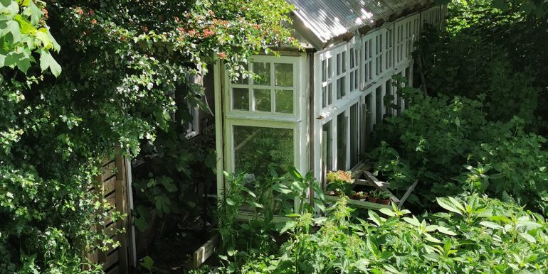 Rudy Hermann greenhouse 1 (1)