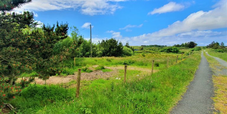 Antje 1.road beside additional plot Jun 2021 (1)