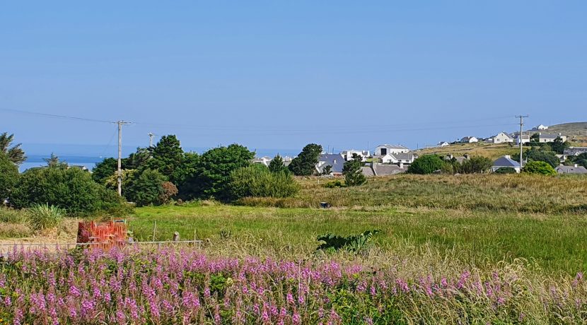 Arthur Rice view norwest of Foreland and garden adj July 2021