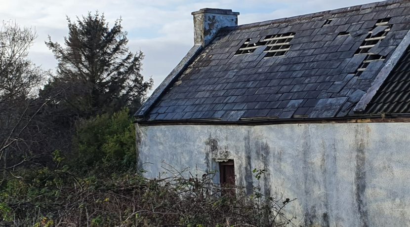 Andrew Mc Laughlin edit smaller house back 2020