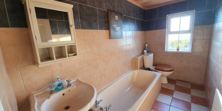Forsythe bathroom adj 1