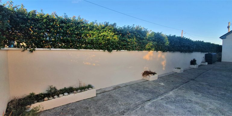 Marion Curran 21. back boundary wall and hedge adj (1)