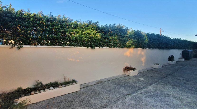 Marion Curran 21. back boundary wall and hedge adj (1)