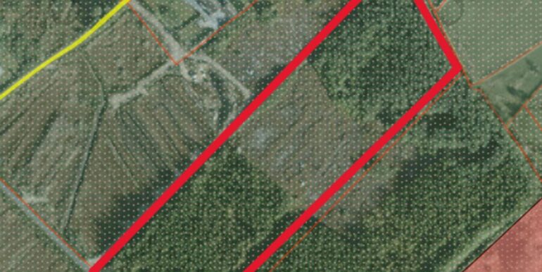 C SITE 1.