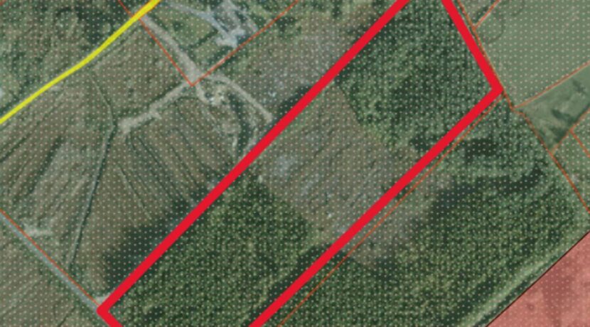C SITE 1.