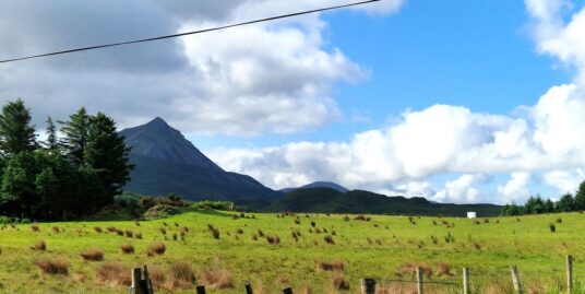 Fanaboy, Gortahork, Co. Donegal.