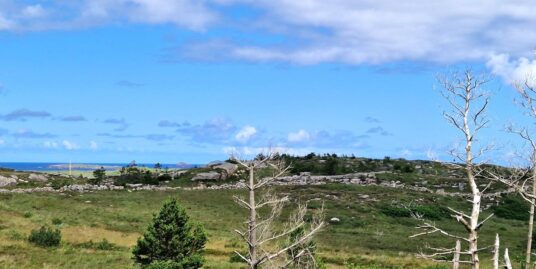 Rannyhaul, Kincasslagh, Co. Donegal.